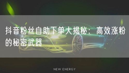 抖音粉丝自助下单大揭秘：高效涨粉的秘密武器