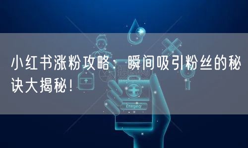 小红书涨粉攻略：瞬间吸引粉丝的秘诀大揭秘！
