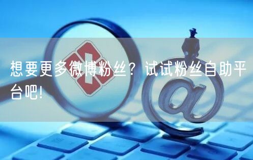 想要更多微博粉丝？试试粉丝自助平台吧!