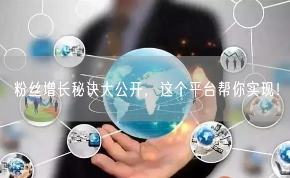粉丝增长秘诀大公开，这个平台帮你实现！