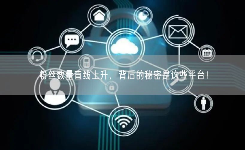 粉丝数量直线上升，背后的秘密是这些平台！