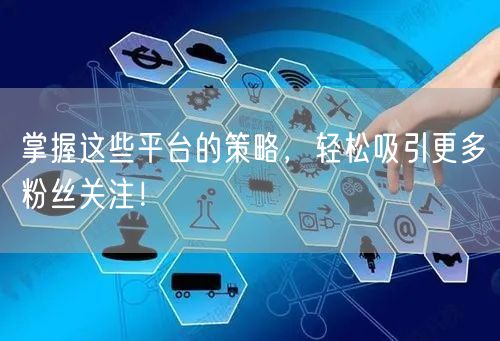 掌握这些平台的策略，轻松吸引更多粉丝关注！